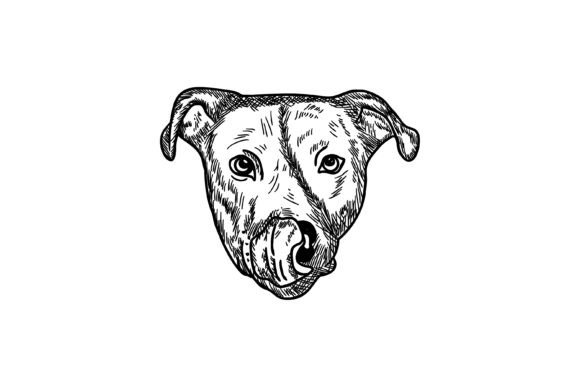 Download Dog Head Sticking out Tongue Illustratio - Premium Bundle